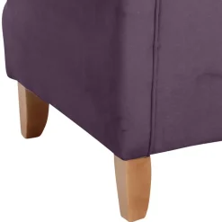 Wohnen Samtvelours Ohrensessel in Dunkellila - Aglaia