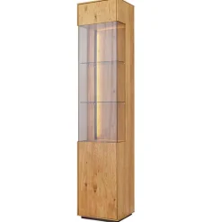 Wohnen Schlanke Vitrine mit LED Beleuchtung - Cocondar
