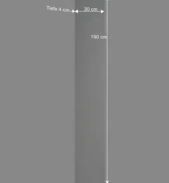 Wohnen Schmaler Wandspiegel ohne Rahmen - Avidora