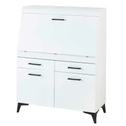 Wohnen Schreibschrank mit Klappe & zwei Türen - Quakes