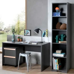 Schreibtisch & Rollcontainer & Regal - Navlius (dreiteilig)^Wohnen Best