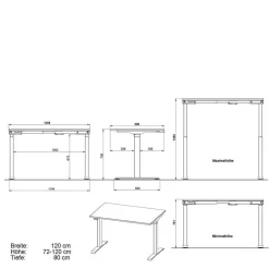 Wohnen Schreibtisch zum Sitzen und Stehen in Lichtgrau - Salko