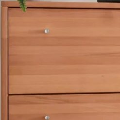 Wohnen Schuhkommode mit zwei Schuhklappen - Shimousa