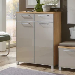 Wohnen Schuhschrank Diecca in Taupe Glas beschichtet