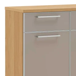 Wohnen Schuhschrank Diecca in Taupe Glas beschichtet