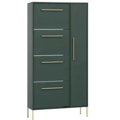 Wohnen Schuhschrank in Dunkelgrün & Gold - Aqua