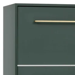 Wohnen Schuhschrank in Dunkelgrün & Gold - Aqua