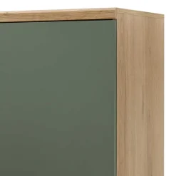 Wohnen Skandi Wohnwand Möbel in Graugrün - Oliva (vierteilig)