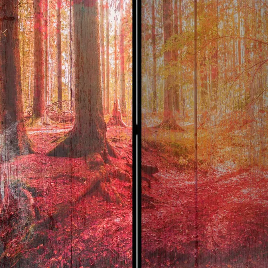 Spanische Trennwand mit Foto Herbstwald - Zither^Wohnen Online