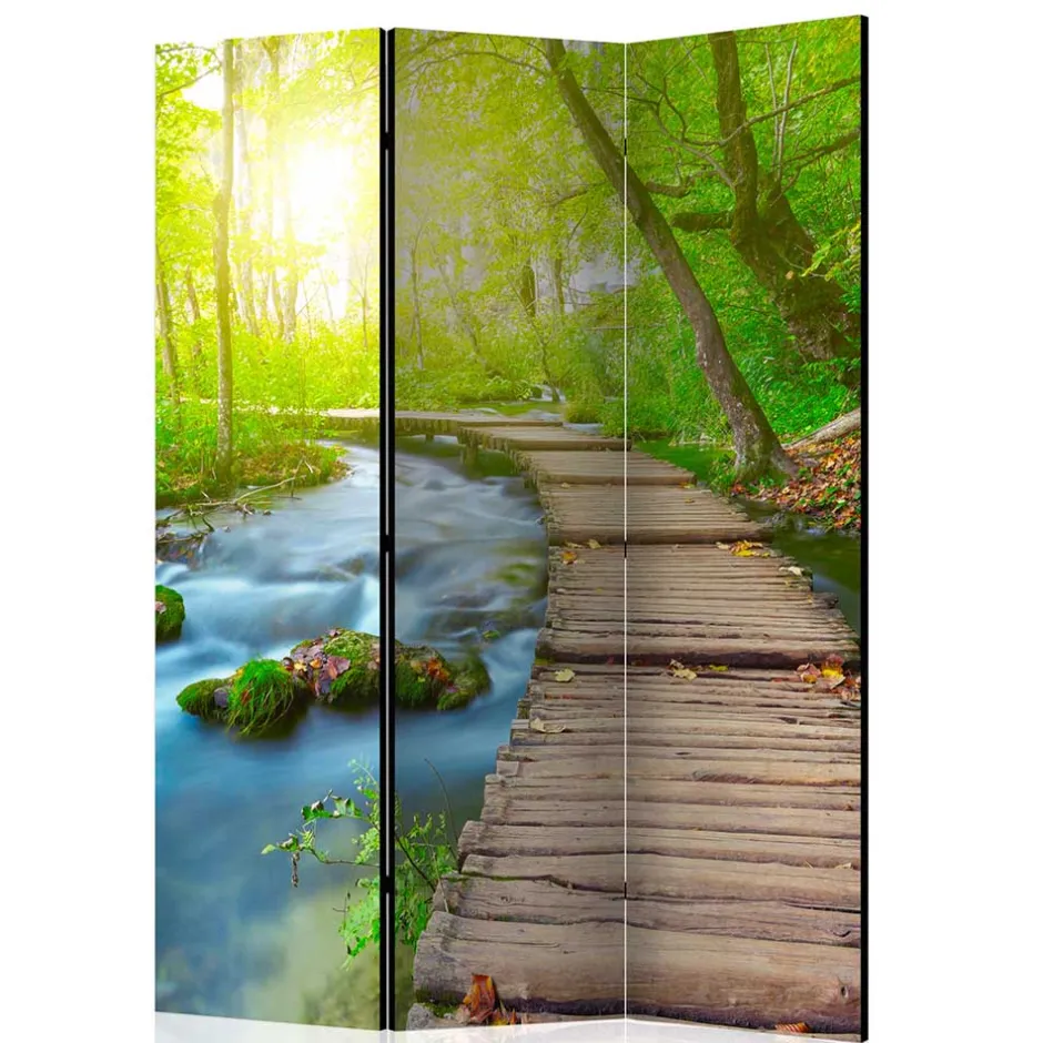 Spanische Wand mit Foto Wald Wasser & Holzweg - Musena^Wohnen Online