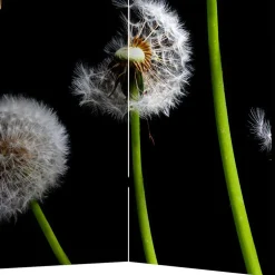 Spanischer Raumteiler mit Pusteblumen Foto - Hocumola^Wohnen Outlet