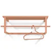 Wohnen Stahl Garderobe in Terracotta pulverbeschichtet - Simonas