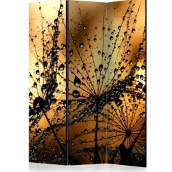 Stimmungsvoller Paravent mit Naturfoto - Vinkoja^Wohnen