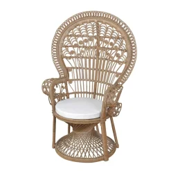 Wohnen Thronsessel Gannicera aus Rattan