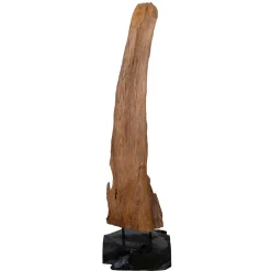 Wohnen Treibholz Deko-Onjekt aus Teak Massivholz - Teako