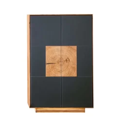 Wohnen 2-türige Schuhkommode in Anthrazit Glas - Mandrey