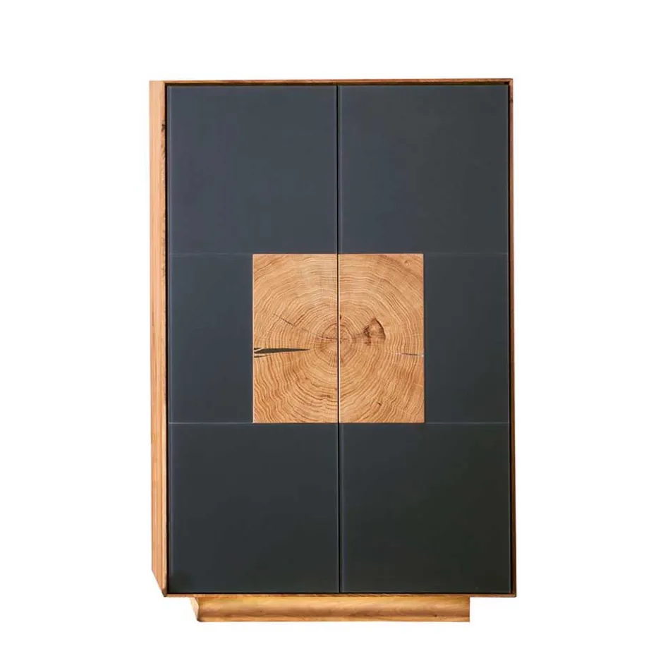 Wohnen 2-türige Schuhkommode in Anthrazit Glas - Mandrey