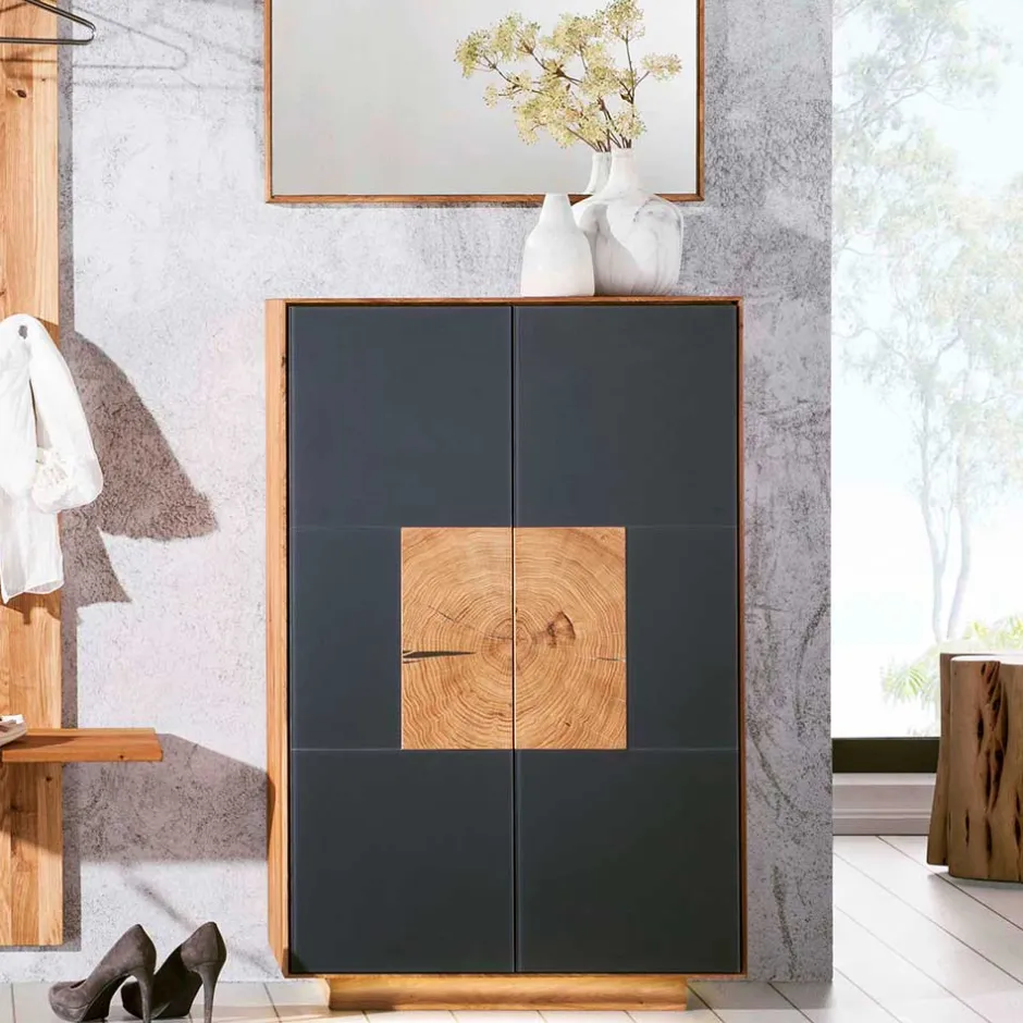 Wohnen 2-türige Schuhkommode in Anthrazit Glas - Mandrey