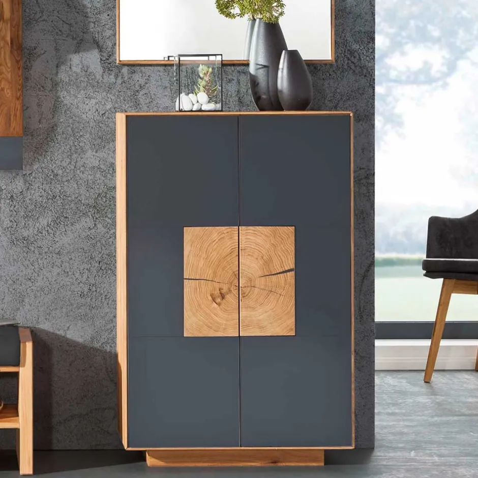 Wohnen 2-türige Schuhkommode in Anthrazit Glas - Mandrey