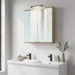 Wohnen 2-türiger Bad-Spiegelschrank 60x71 cm - Dilvonda