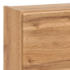 1-türiger Hängeschrank in Wildeiche Dekor - Iliam^Wohnen Hot