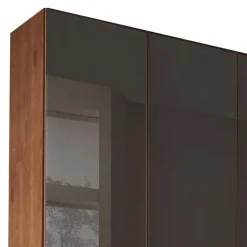 6-türiger Schrank mit Glas Dunkelbraun - Hung^Wohnen Outlet