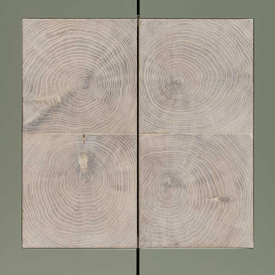 Wohnen 2-türiger Wohnzimmer Hängeschrank in Grau - Ajevos