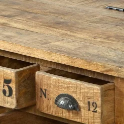 Wohnen Truhen-Couchtisch Indri aus Mango Massivholz