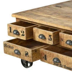 Wohnen Truhen-Couchtisch Indri aus Mango Massivholz