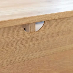 Wohnen TV Board mit Schiebetüren aus getöntem Glas & Eiche - Fabiella