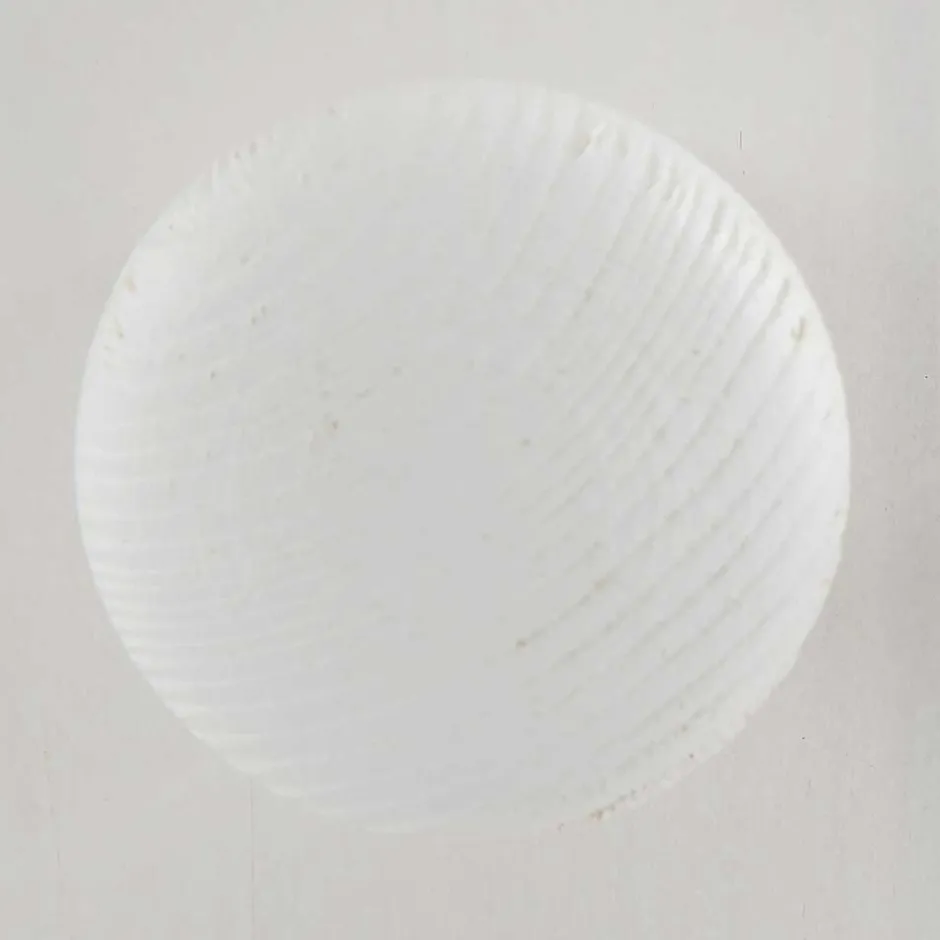 Wohnen TV Kommode in Weiß lasiert - Auricos