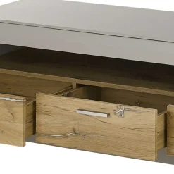 TV Lowboard in Hellgrau & Zinneiche NB - Lioscas^Wohnen Best