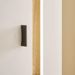 Wohnen Vitrine mit LED Licht und Metallgriff - Racelyn