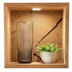 Wandregal 34x34x20 cm mit Rückwand - Acapella^Wohnen New