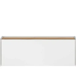 Wohnzimmer Hängeschrank 100x35x30 cm - Nonessia^Wohnen Discount