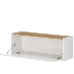 Wohnzimmer Hängeschrank 100x35x30 cm - Nonessia^Wohnen Discount