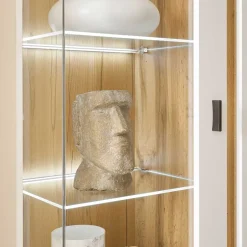 Wohnzimmervitrine mit LED Beleuchtung - Racelyn^Wohnen Sale