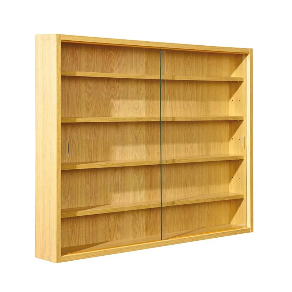 80x60x10 cm Hängevitrine Sammelvitrine 2-türig - Grands^Wohnen Clearance