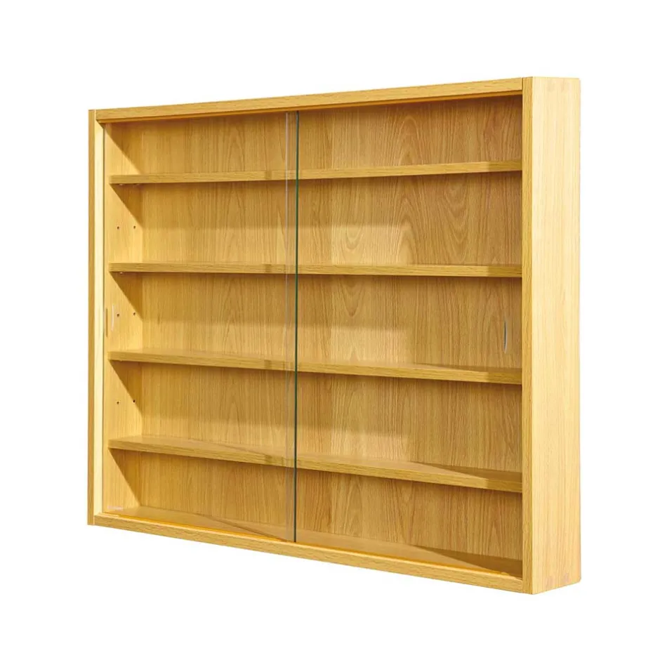 80x60x10 cm Hängevitrine Sammelvitrine 2-türig - Grands^Wohnen Clearance