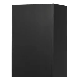 Wohnen 44x188x35 cm 1-türiger Schrank in Schwarz lackiert - Riley