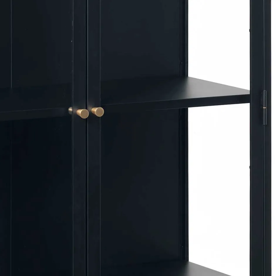 Wohnen 90x190x40 Doppeltür Vitrine aus Metall - Butoaie