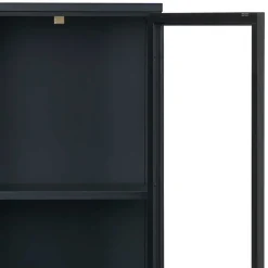 Wohnen 90x190x40 Doppeltür Vitrine aus Metall - Butoaie