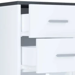 Wohnen 32x97x28 Hochkommode mit Tür & zwei Schubladen - Rondja