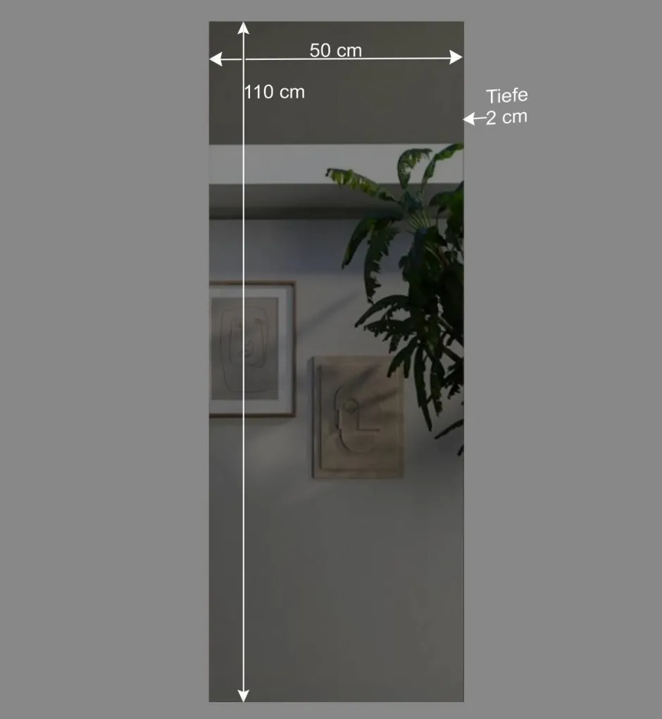 Wohnen 50x110x2 Moderner Spiegel rahmenlos - Castalla