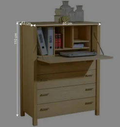 85x110x43 Schrank mit Schreibklappe - Settsura^Wohnen New