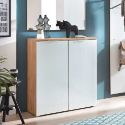 Wohnen 89x104x40 Schuhschrank mit Doppeltür - Reestyl