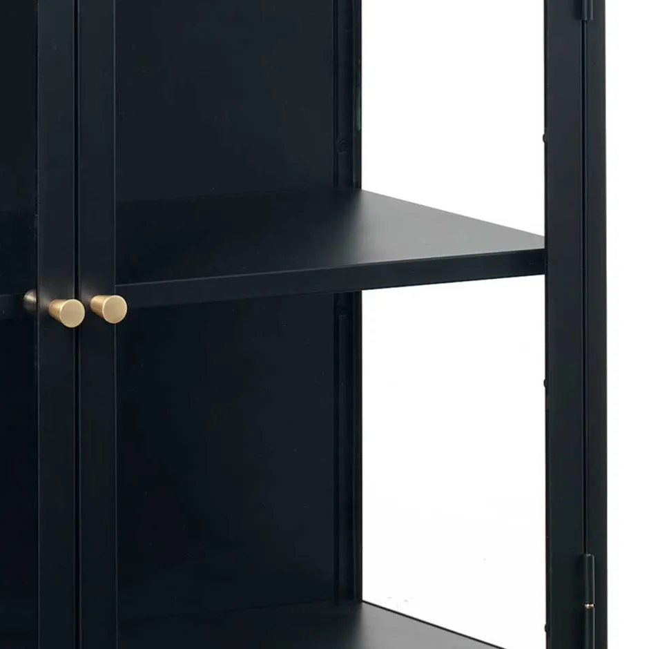 Wohnen 90x85x40 2-türiger Schrank aus Glas & Metall - Butoaie