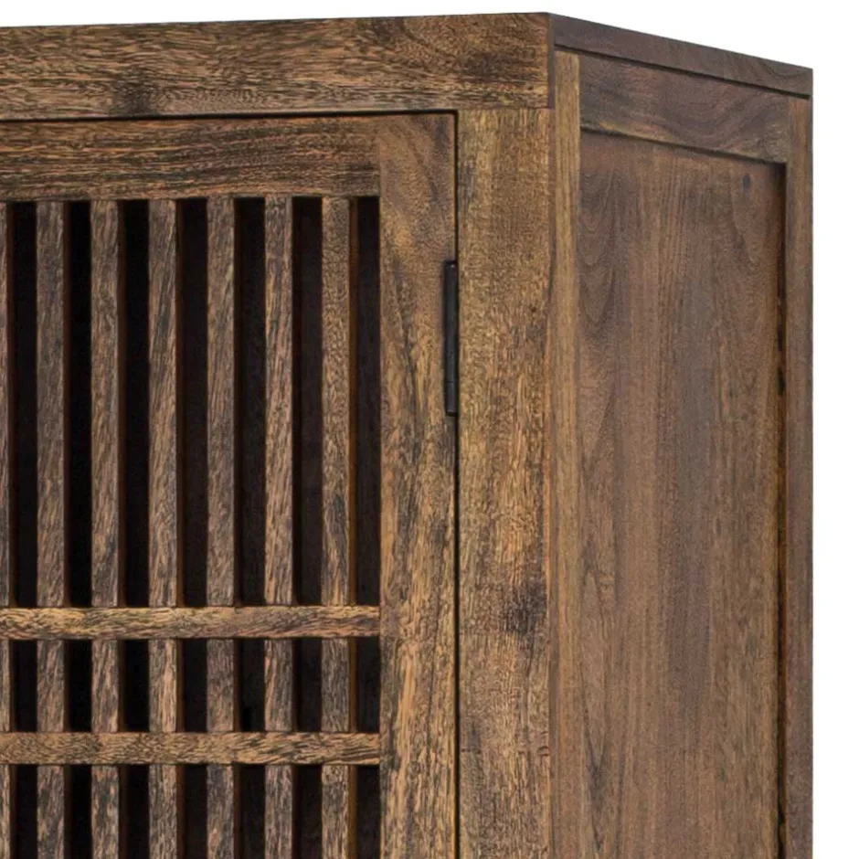 Wohnen 100x160x45 Wohnzimmerschrank mit zwei Türen - Charin