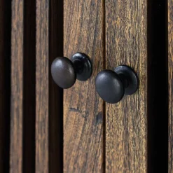 Wohnen 100x160x45 Wohnzimmerschrank mit zwei Türen - Charin