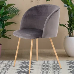 Zwei Esstischstühle in Grau Samt - Antonio (2er Set)^Wohnen